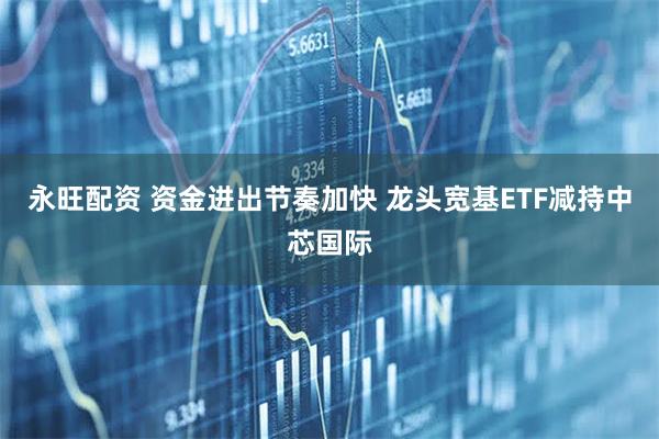 永旺配资 资金进出节奏加快 龙头宽基ETF减持中芯国际